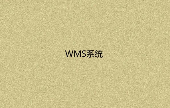 WMS系統(tǒng) WMS系統(tǒng)