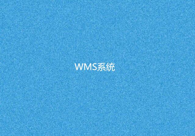 WMS系統(tǒng) WMS系統(tǒng)