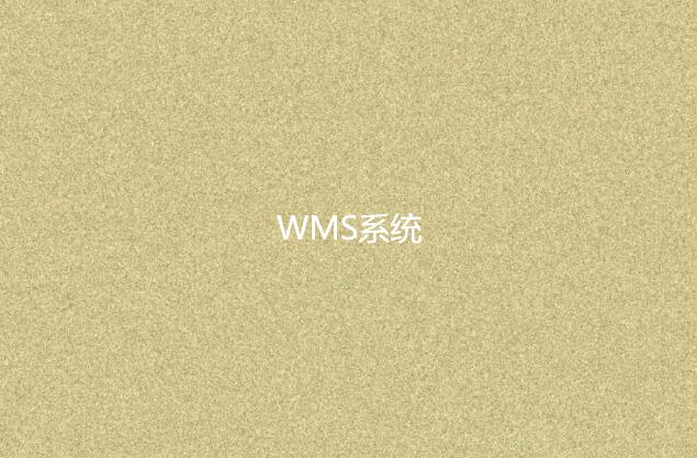 WMS系統適合小型企業嗎?